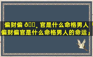 偏财偏 🕸 官是什么命格男人「偏财偏官是什么命格男人的命运」